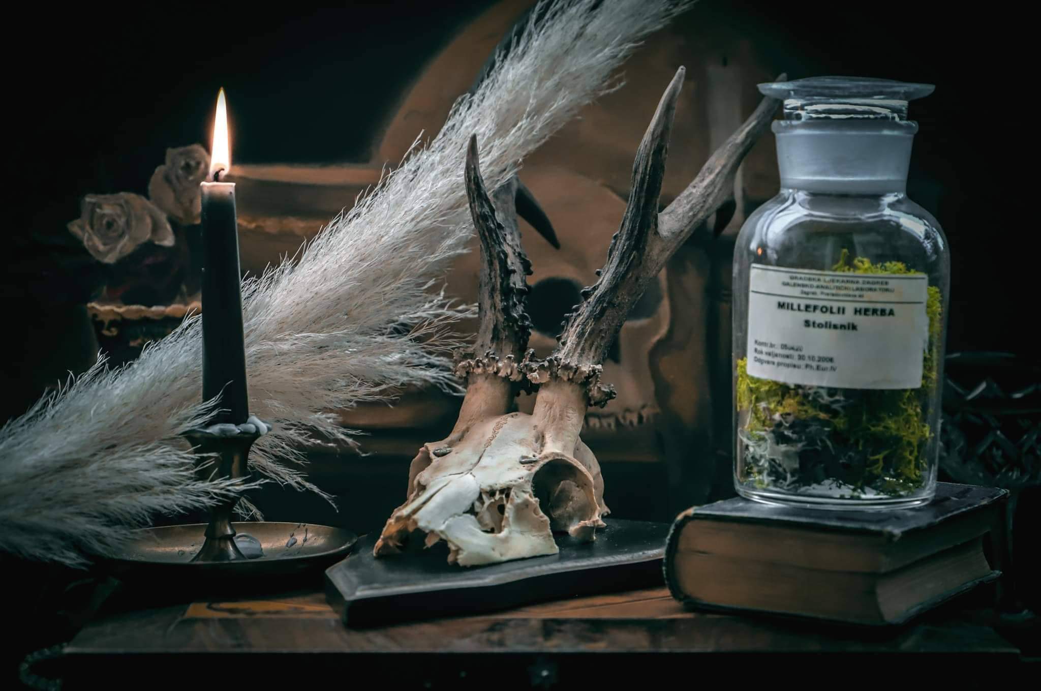 to-nije-bio-svijet-bajki-za-djecu