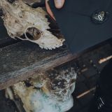 Kikimora- Zapečaćeni artefakt
